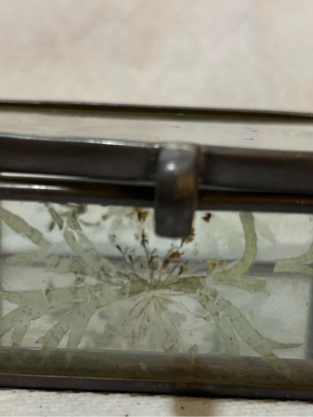Vintage Leaded Glass Trinket Box with Dried Flowers